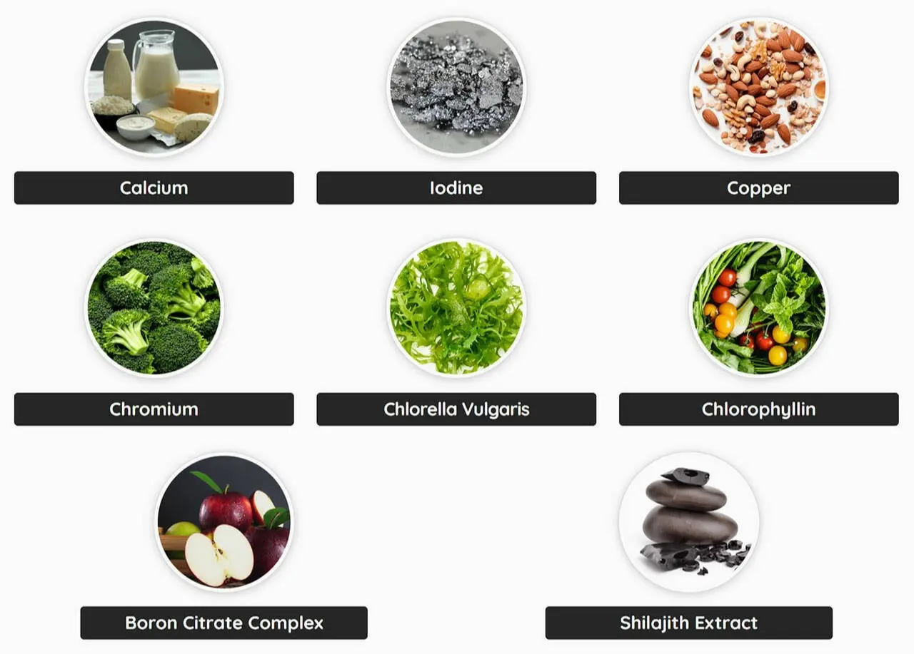 Denticore-Ingredients